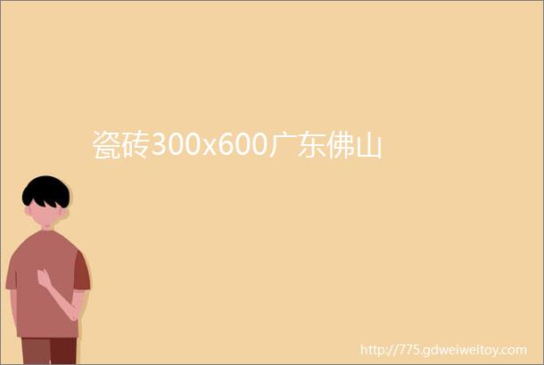 瓷砖300x600广东佛山